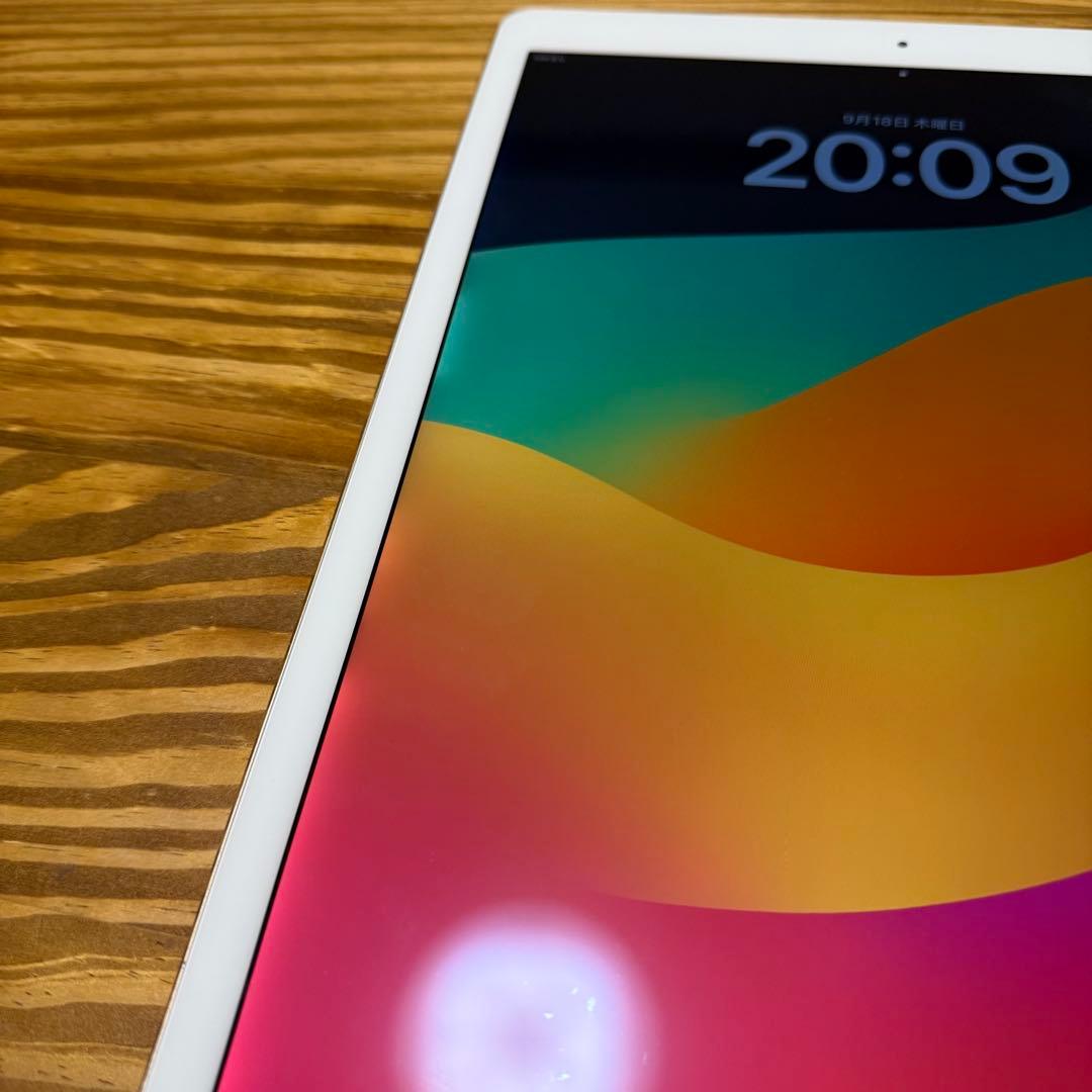 iPad Pro 第2世代 12.9インチ 256GB