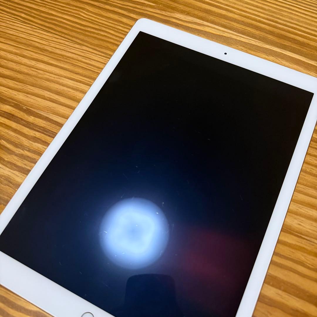 iPad Pro 第2世代 12.9インチ 256GB