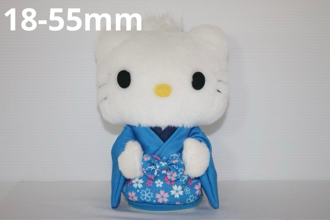 ✨Wi-Fi搭載✨Canon EOS 70D✨ダブルズームレンズ 使用感少 美品