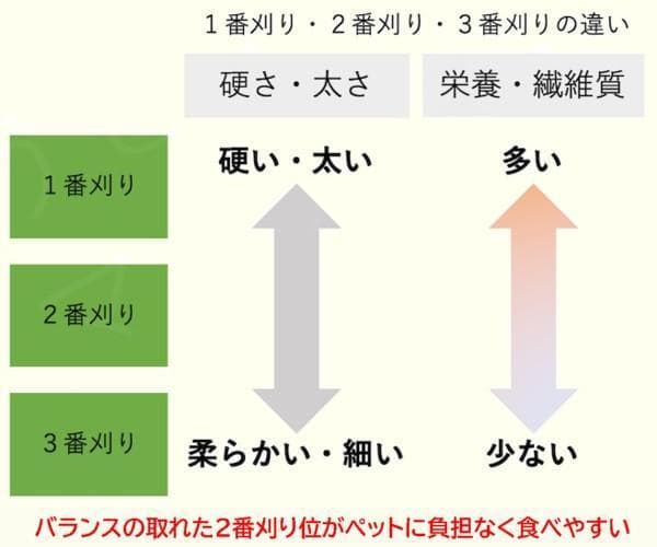 【10/20まで】US産 チモシー 30kg ２番刈り ソフトSプレミアム