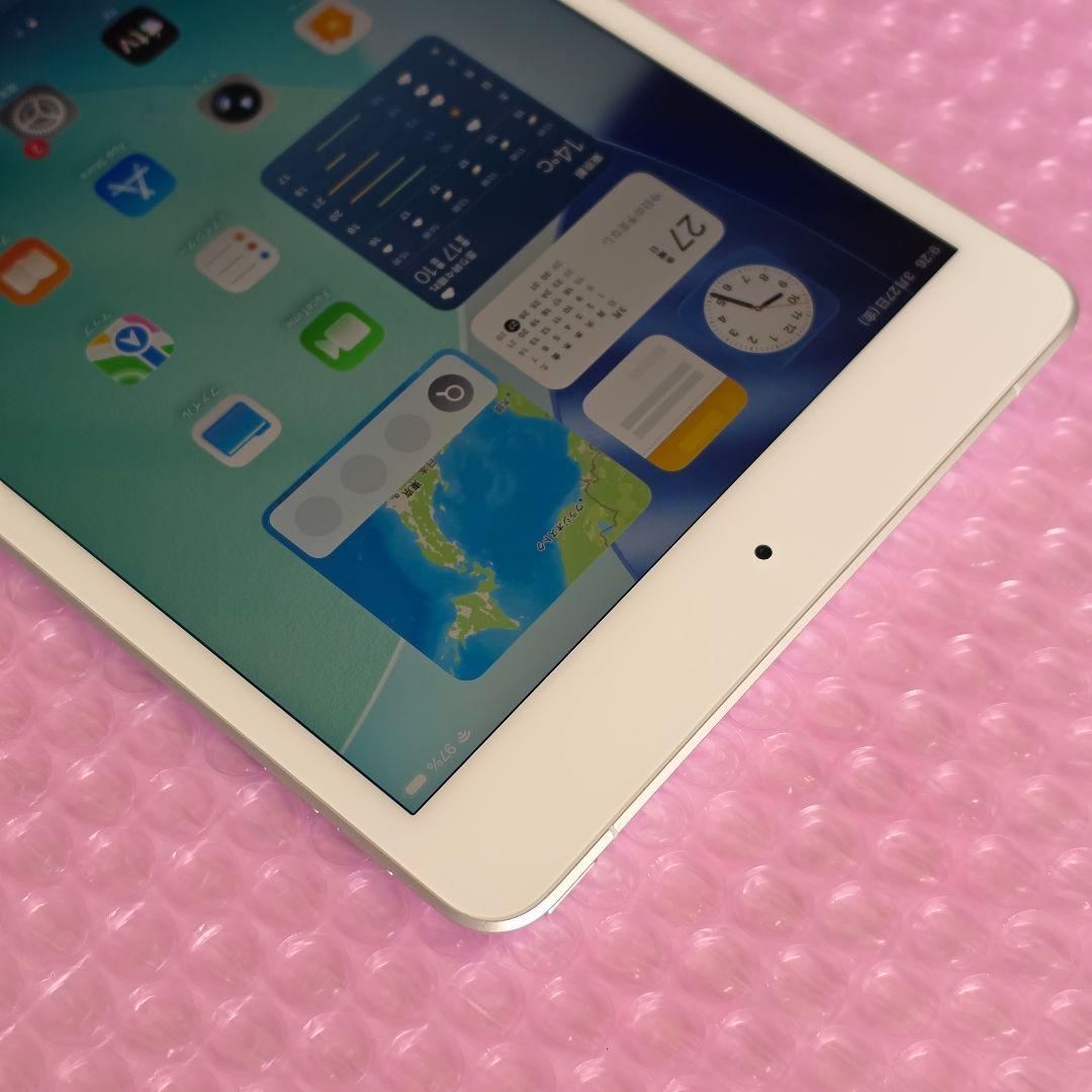 美品　iPad mini5　バッテリー良好　Cellular+Wi-Fiモデル