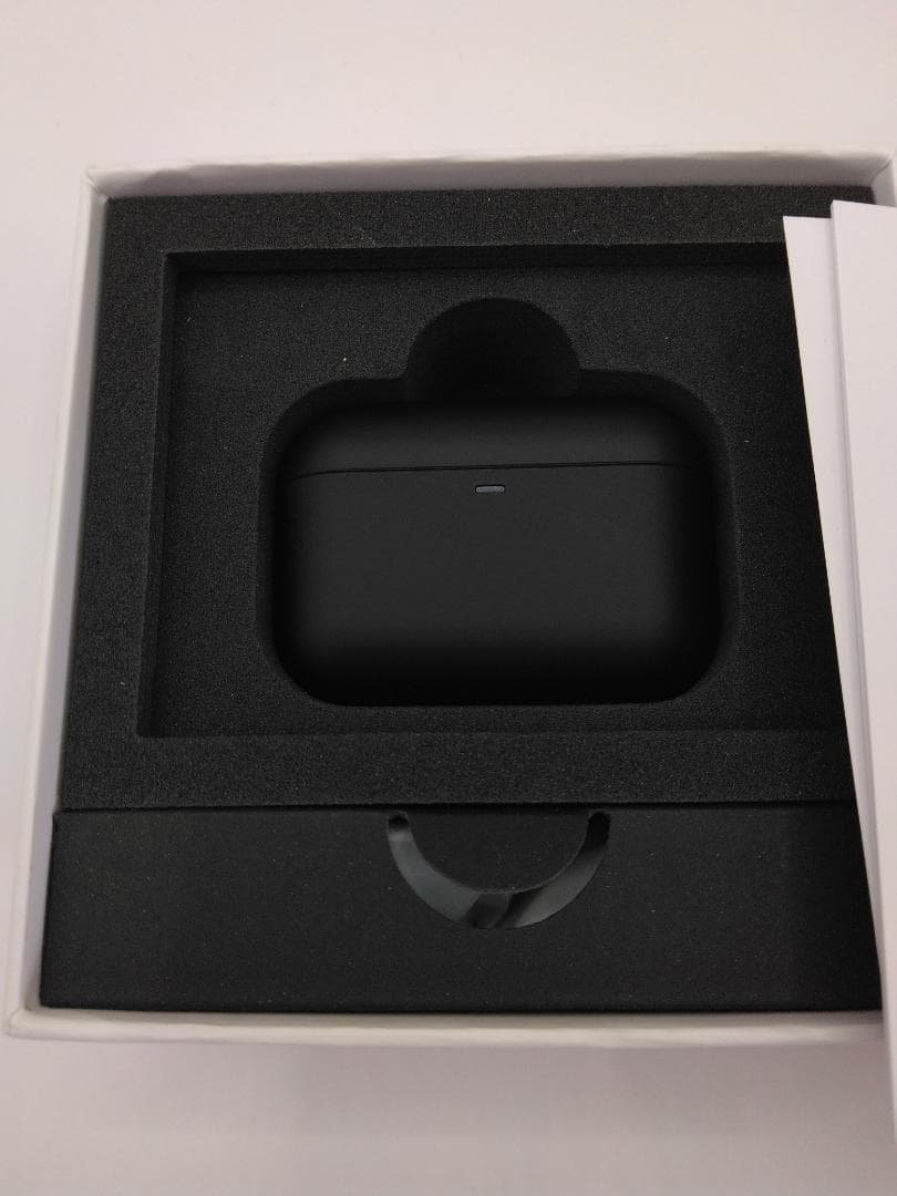 イヤホン final ZE500 for ASMR (BLACK)