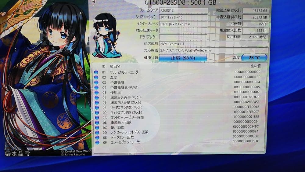 Crucial P2 M.2 2280 500GB SSD 2枚組