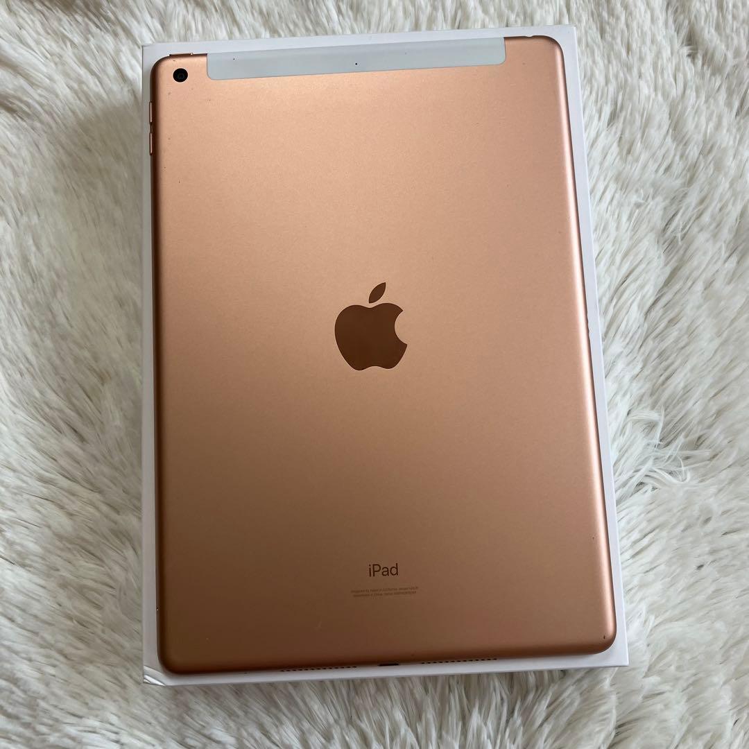 【即購入OK】iPad 第8世代 セルラーモデル【極美品】 #116 【付属品】