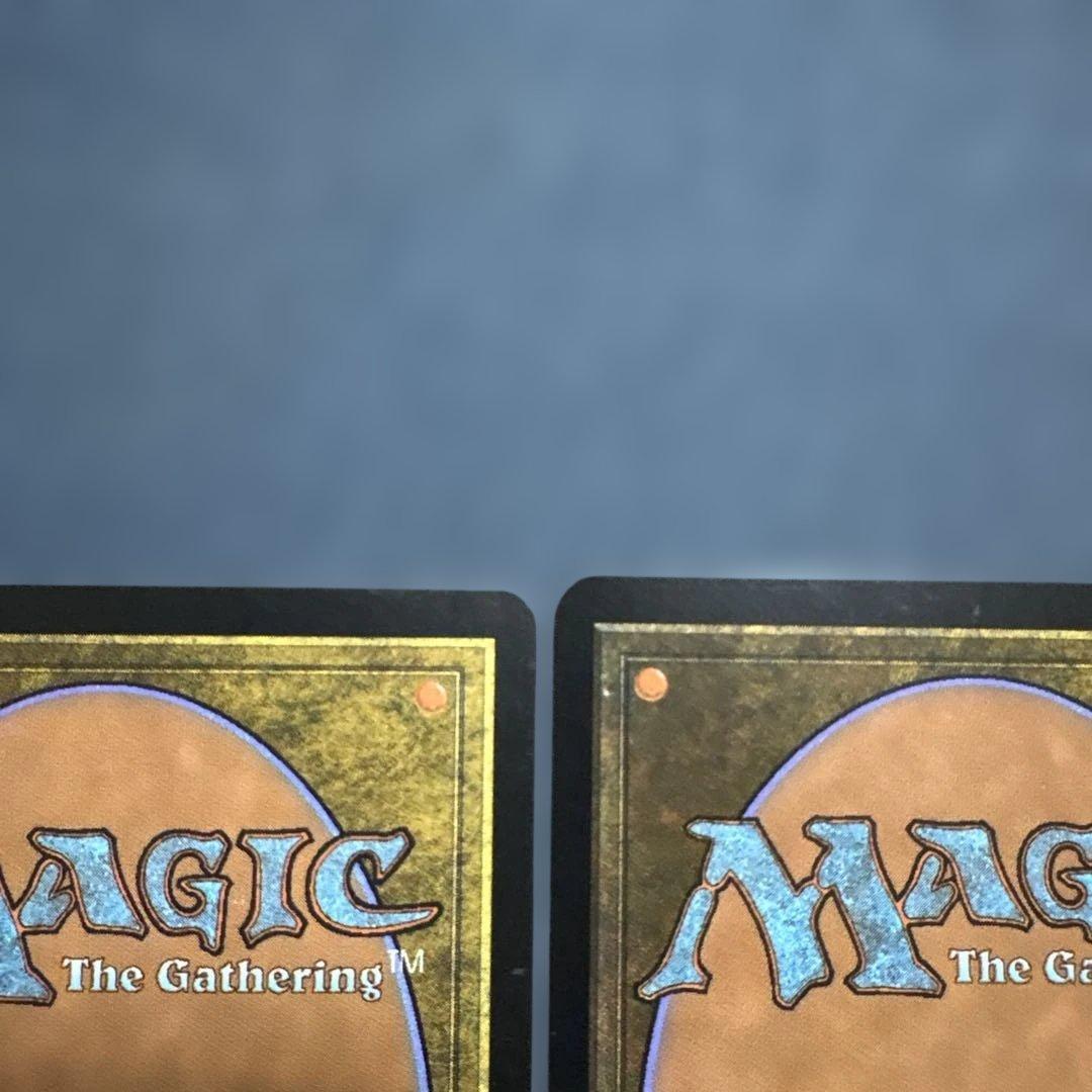 MTG 蓄積する知識　FNM景品４枚セット