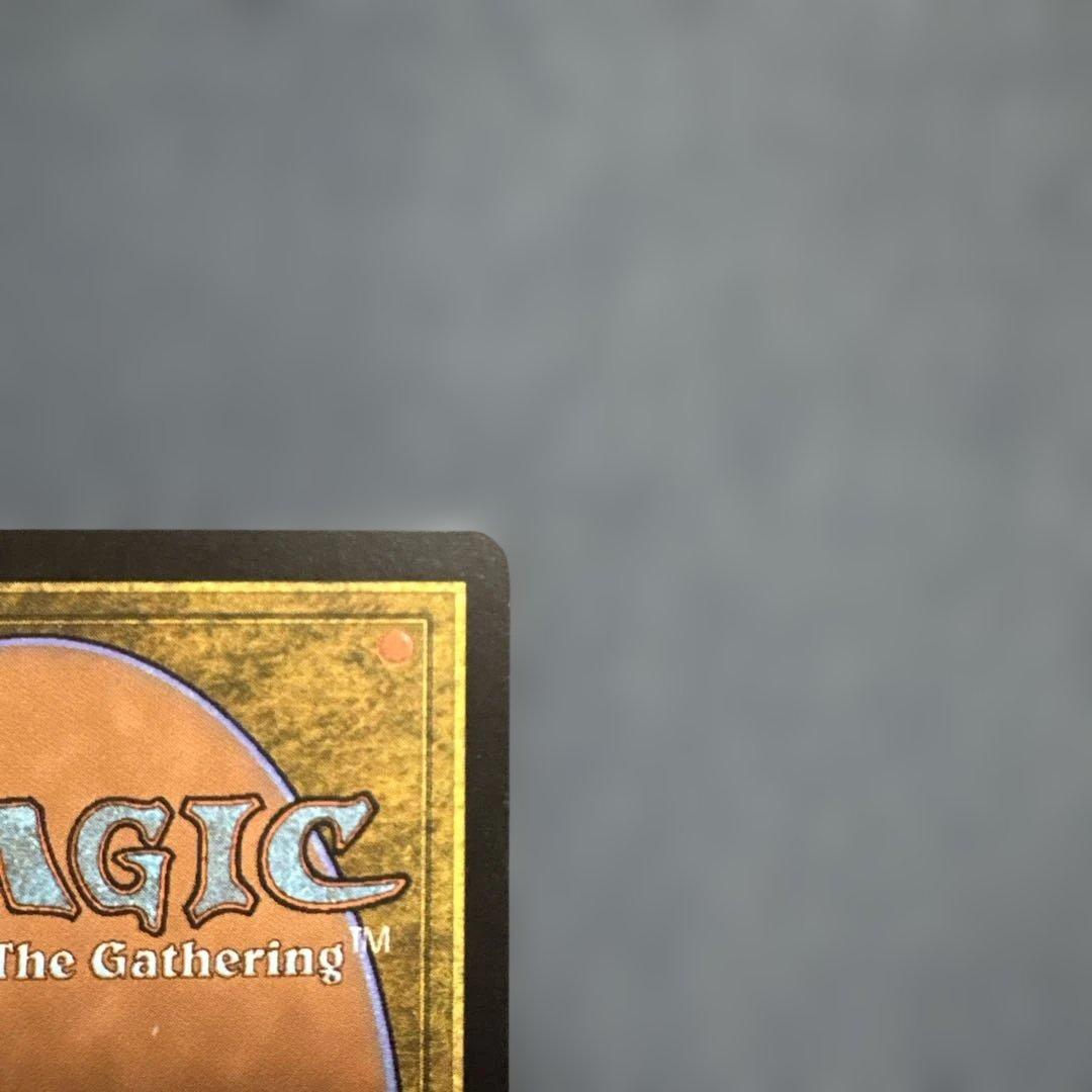 MTG 蓄積する知識　FNM景品４枚セット