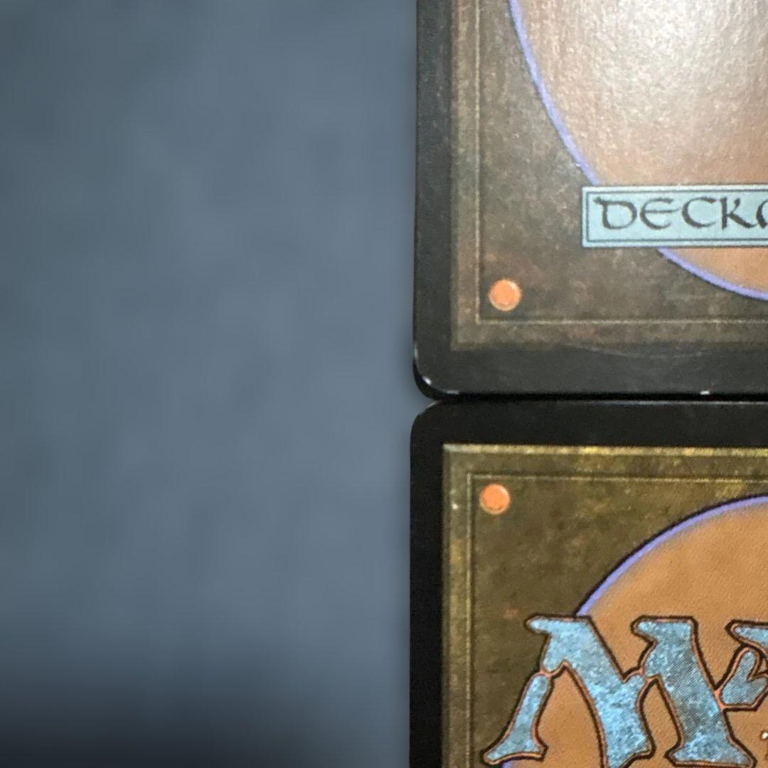 MTG 蓄積する知識　FNM景品４枚セット