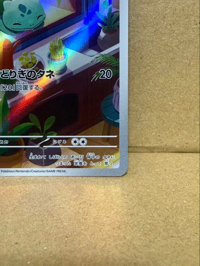 ポケモンカード ARフシギダネ ヒトカゲ プロモ　スペシャルデッキ　2枚セット