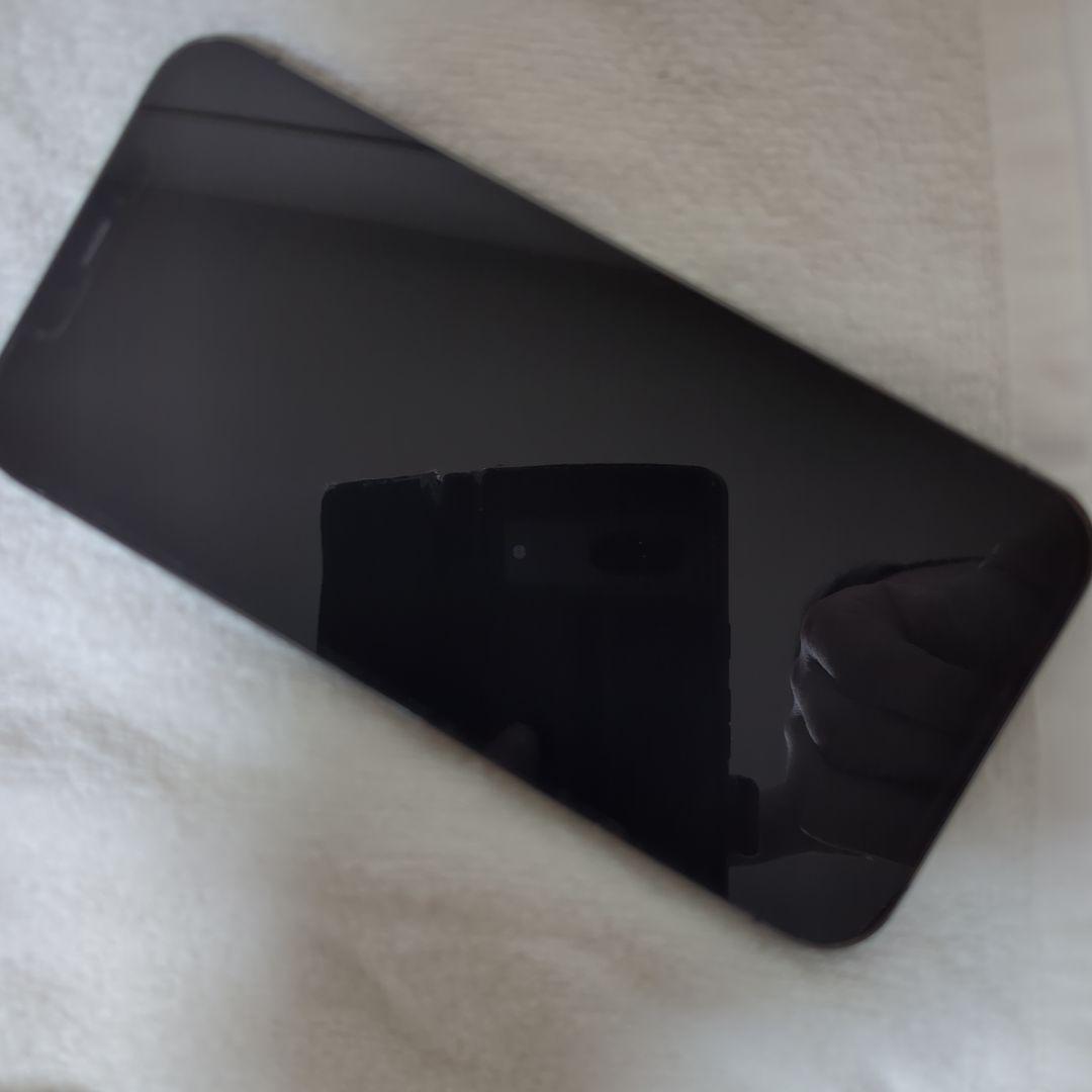 Apple iPhone 1２ProMax