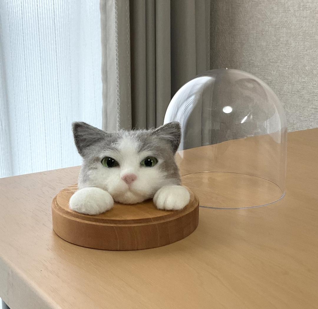 スコティッシュストレート 羊毛フェルト ドーム型ケース入り猫 立ち耳