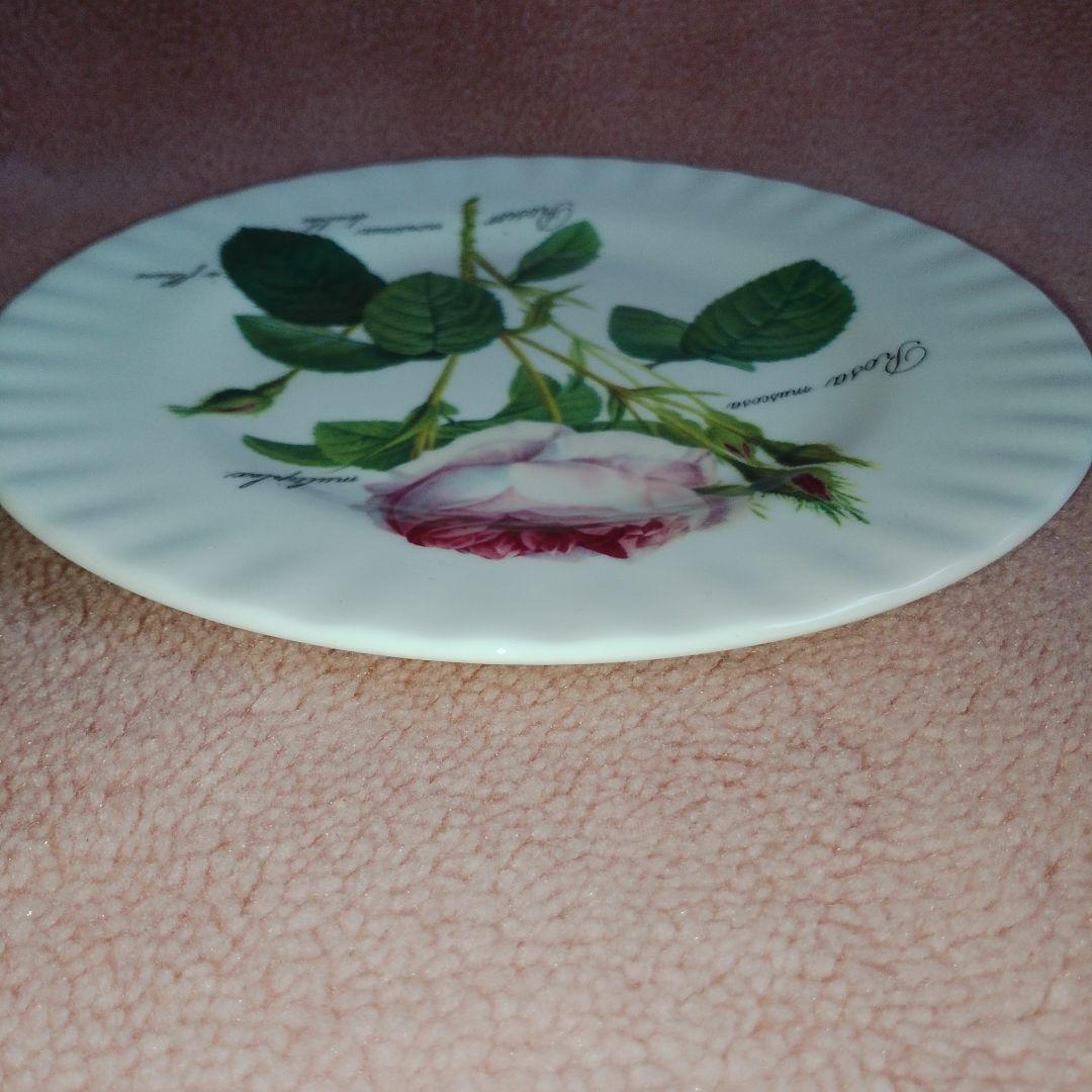 ROY KIRKHAM REDOUTE ROSES プレート ロイ カーカム