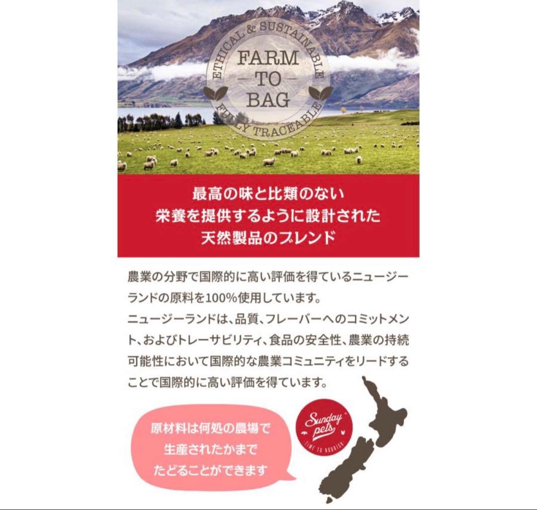 サンデーペッツ　ジェントルベイク　ワイルドホキ ドッグフード　グレインフリー