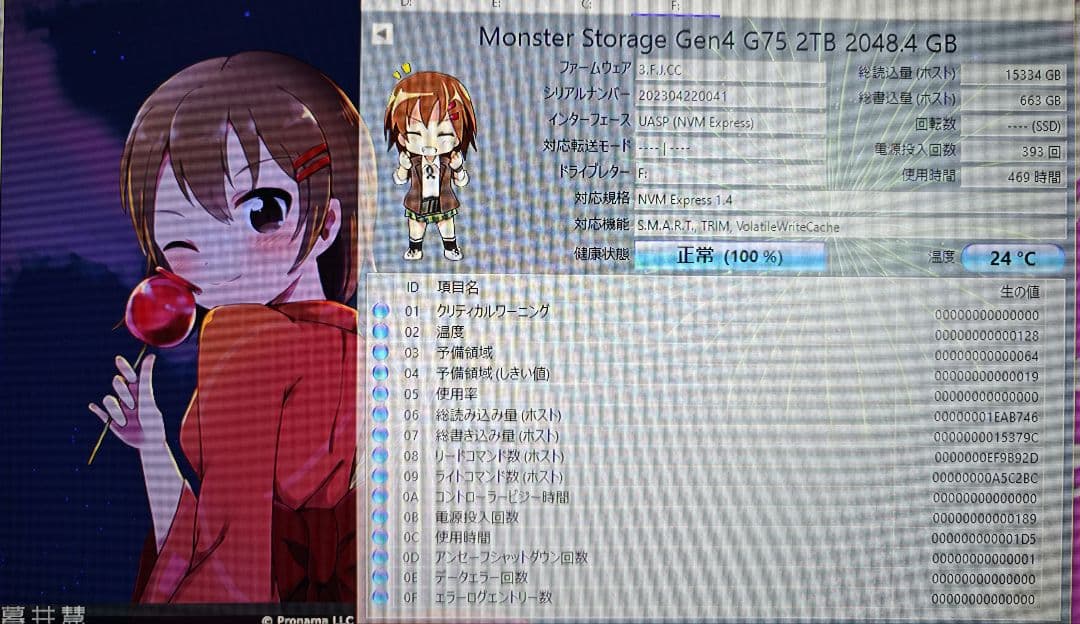 内蔵型SSD Monster Storage 2TB m.2 nvme pcie4.0 SSD