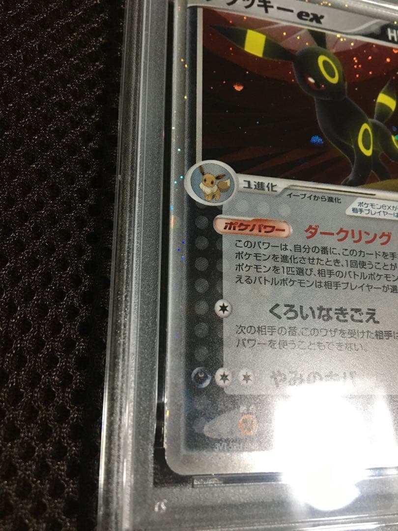 フォローで割引！ ポケモンカード PSA6 ブラッキーｅｘ HOLO ホロ A