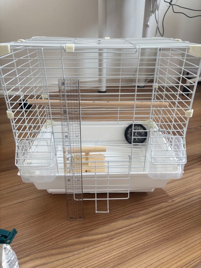 雛からの鳥飼育セット