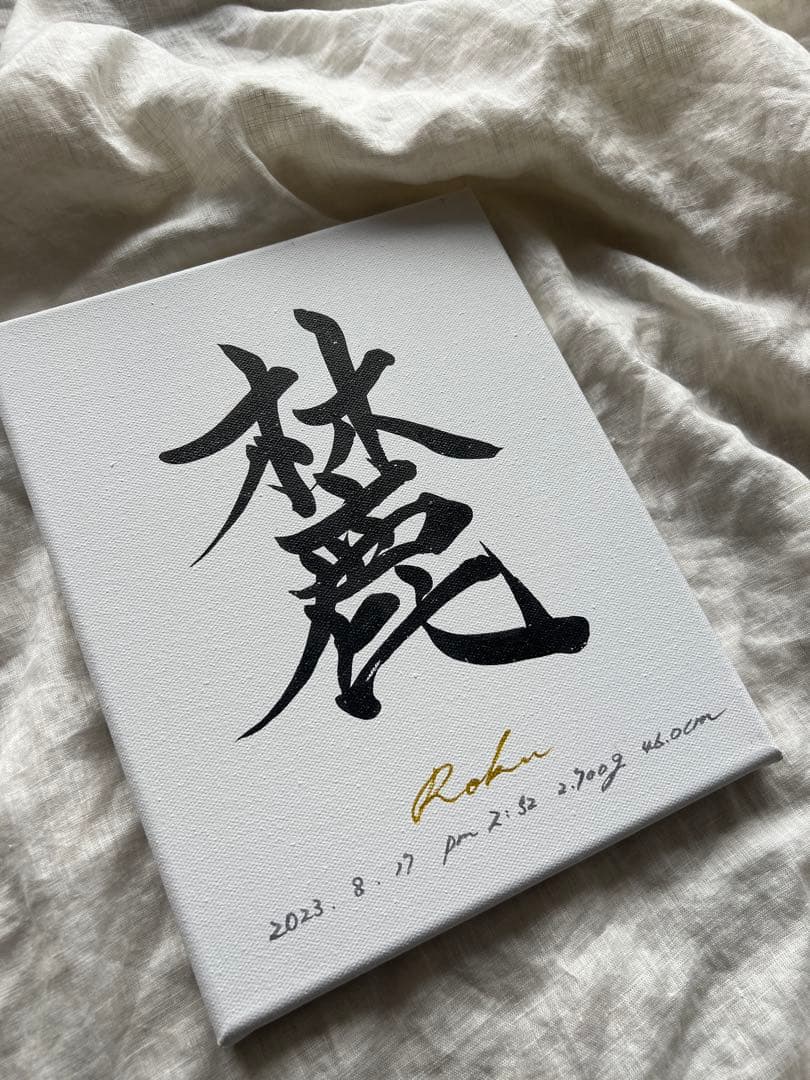 Hikaru　お一人目修正あり「私が欲しい命名書」キャンバス送料無料