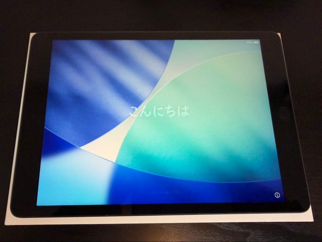 三月限定価格/iPad第九世代/256GB/Wi-Fi/グレー