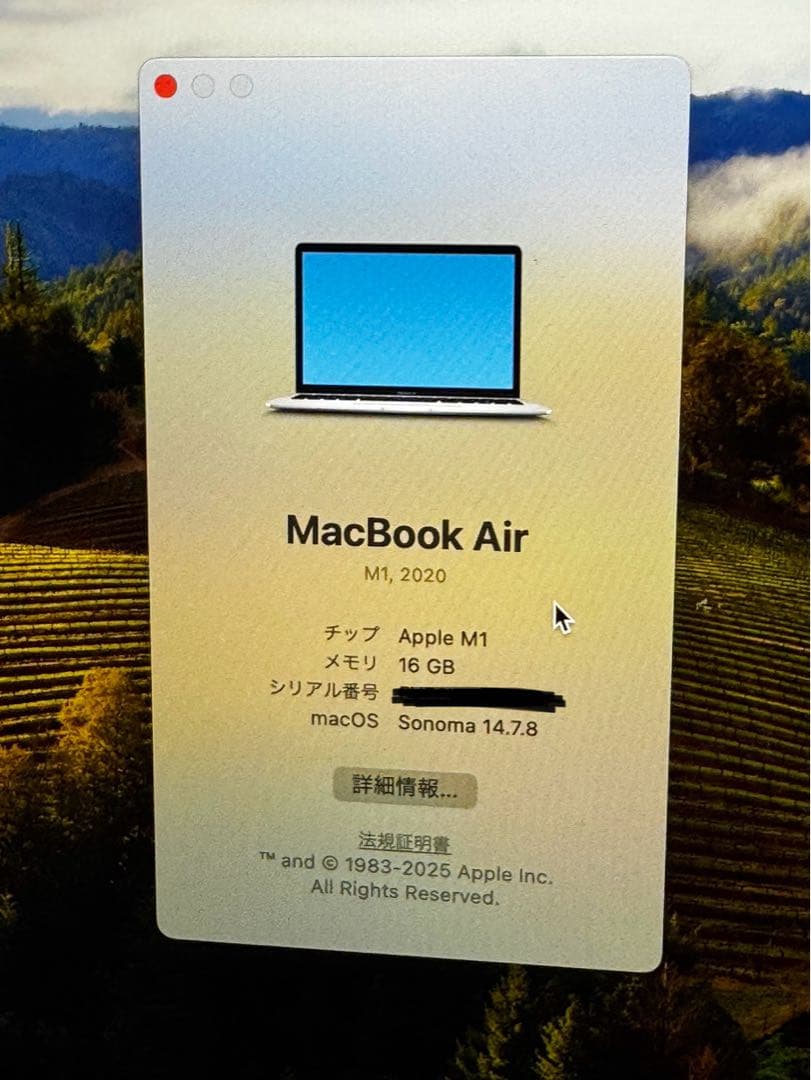 Apple MacBook Air (M1, 2020) 本体 JIS