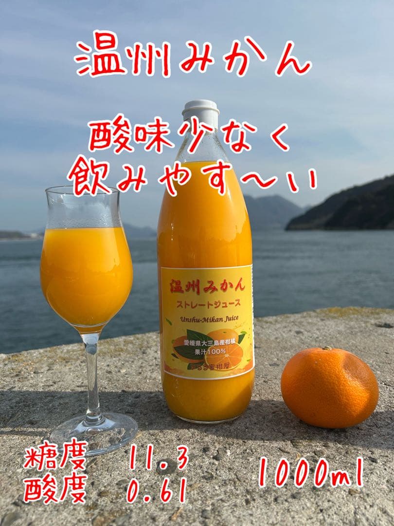 【組合せ自由】6本セット ストレートジュース 温州みかん 不知火 果汁100%