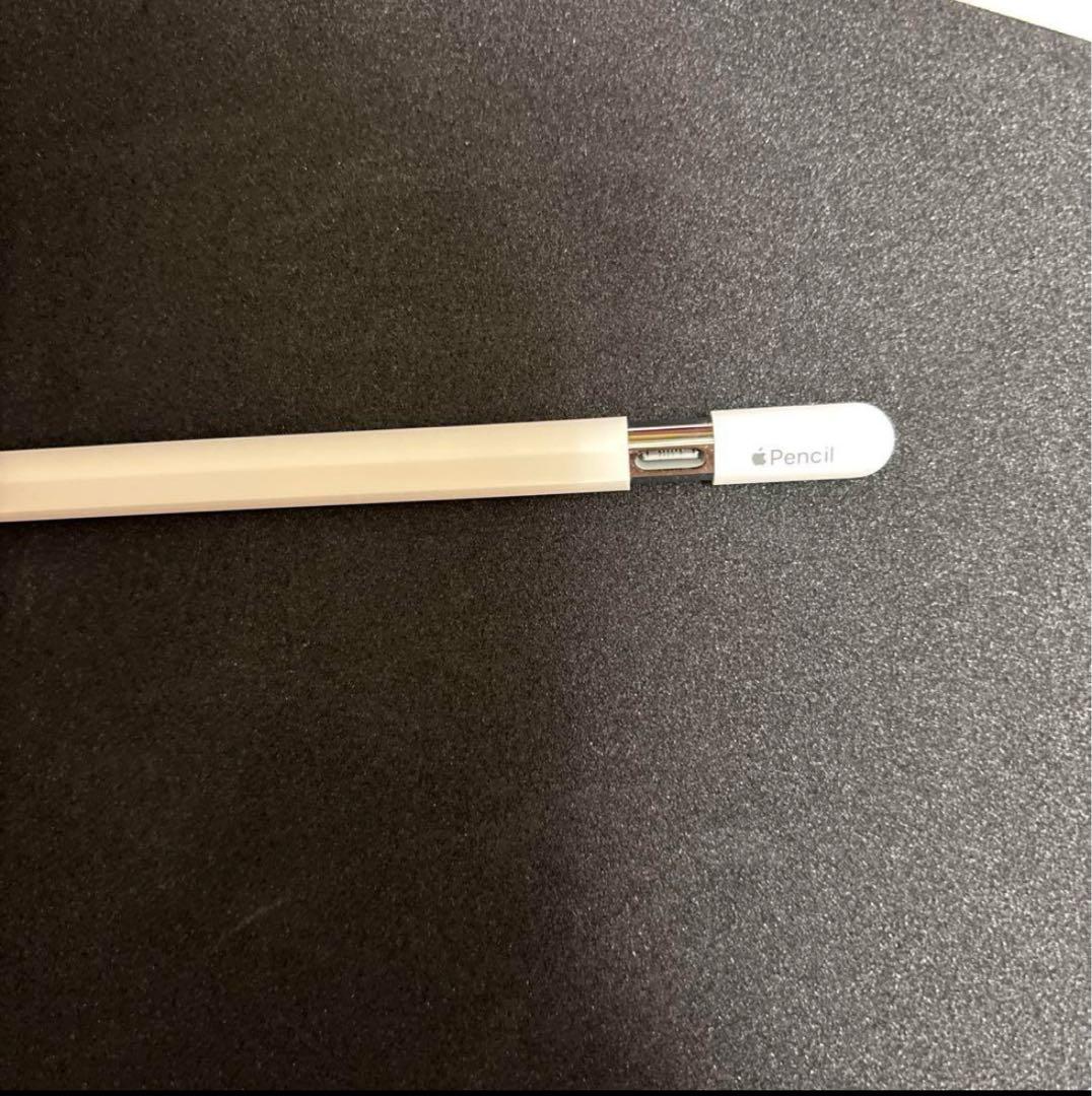 iPadアクセサリー applepencil USB-C