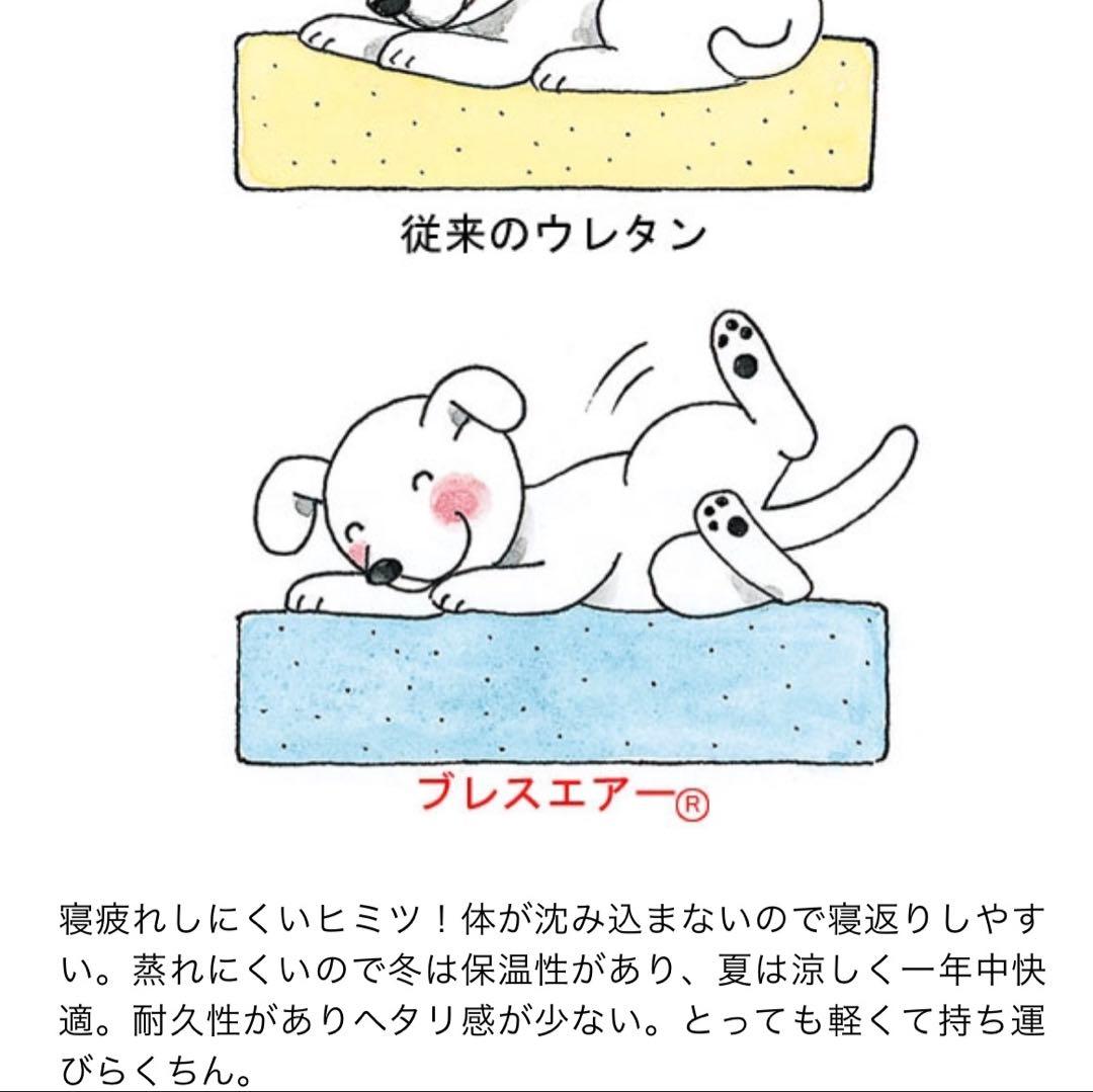 専用　フィーヌエアーマット Mサイズ 60×100cm