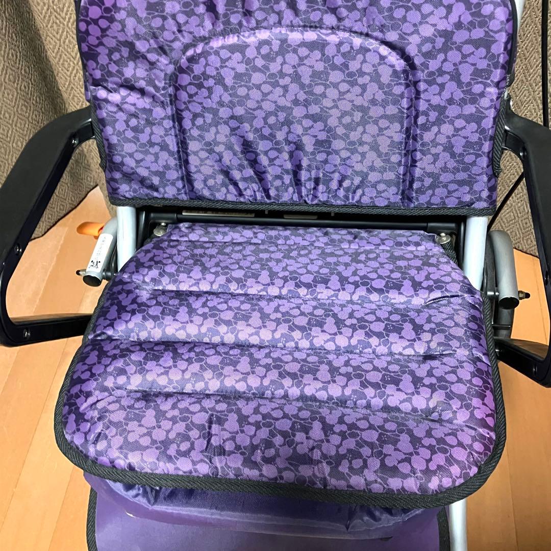 美品‼️幸和製作所 TacaoF テイコブレコルティST10 折りたたみ式