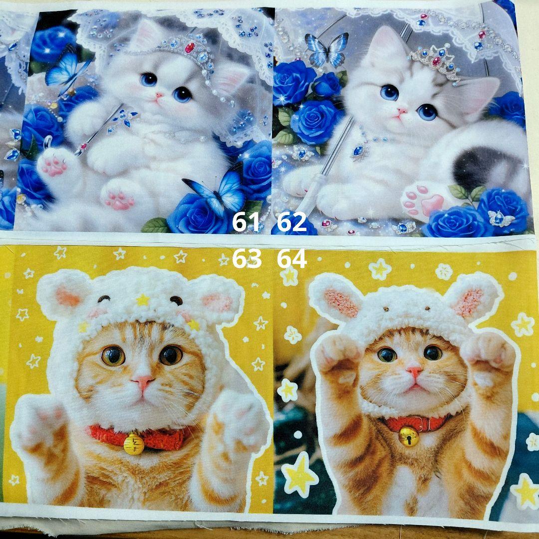 生地見本 34