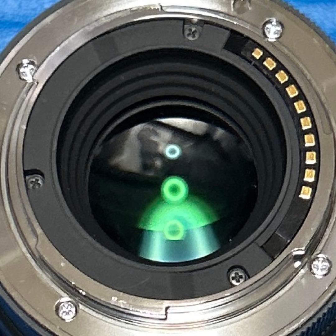 SIGMA 30mm F1.4 DC DN Ｅマウント　使用歴ほぼ無し