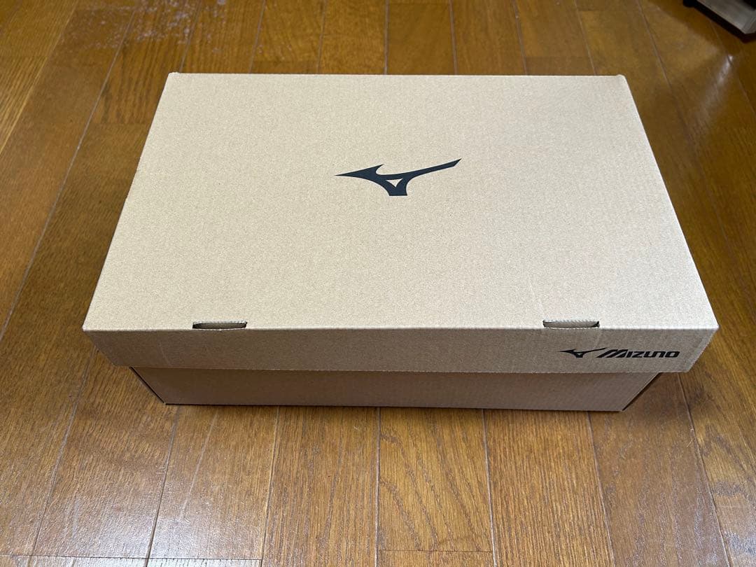 Mizuno 黄色 安全靴 ベルクロ式