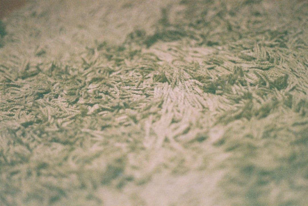実写済　露出計作動　KONICA C35 フィルムカメラ
