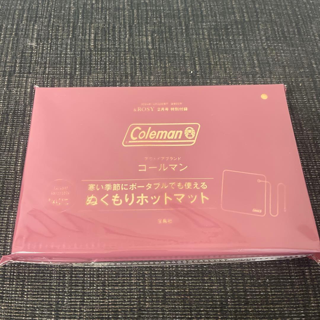 ちゅん太 管理 24 &ROSY アンドロージー 2月号 付録 ②