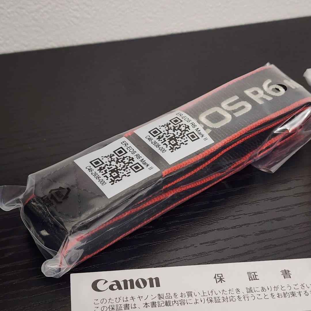 【美品】Canon R6 Mark II ＋ RF24-105 F4L USM