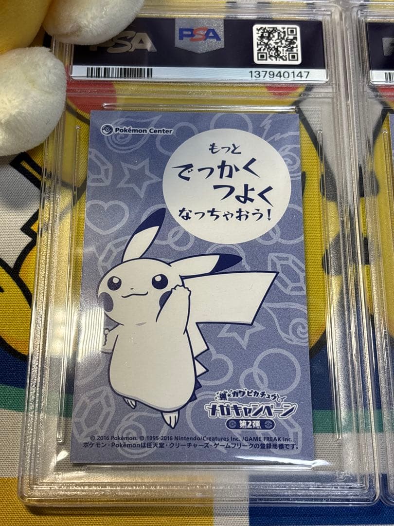 PSA10 ポケモンカード ピカチュウ メガリザードンXY ポンチョ 名刺カード