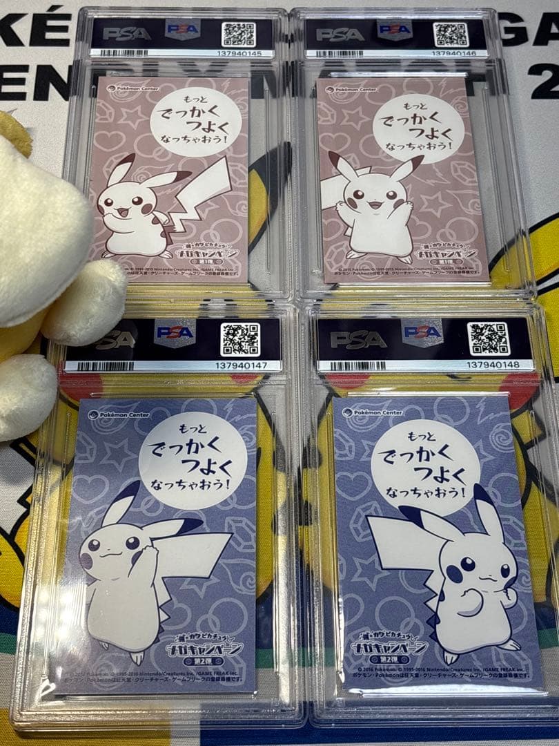 PSA10 ポケモンカード ピカチュウ メガリザードンXY ポンチョ 名刺カード