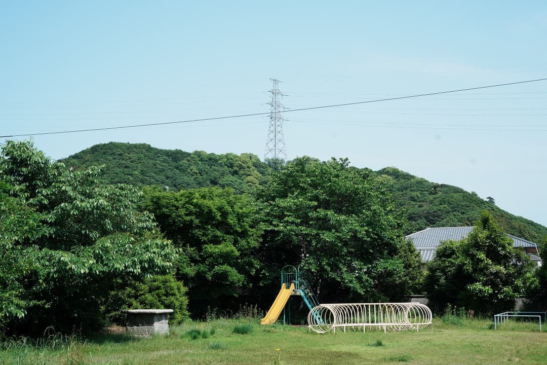 【未使用級】動作◎ SONY FE 50mm F1.8 単焦点 大きなボケ 39