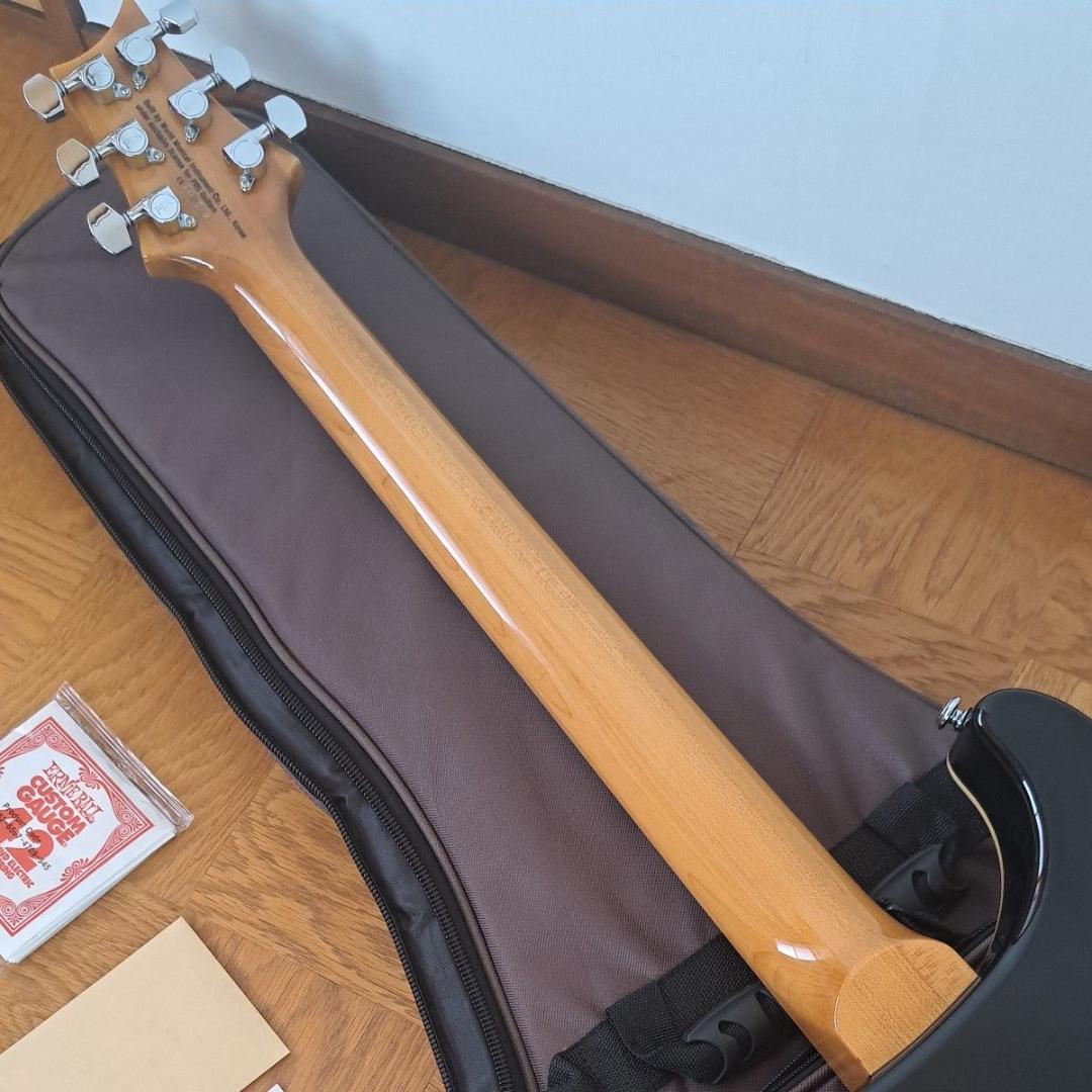 【新品同様限定】Paul Reed Smith PRS SE Custom 24