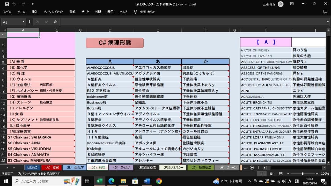 完全和訳版　メタ・ハンター（メタトロンタイプ）タブレット付き！