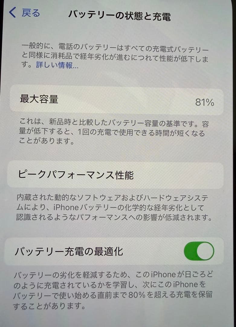 Apple iPhone 13 ブルー 本体 充電ケーブル付き