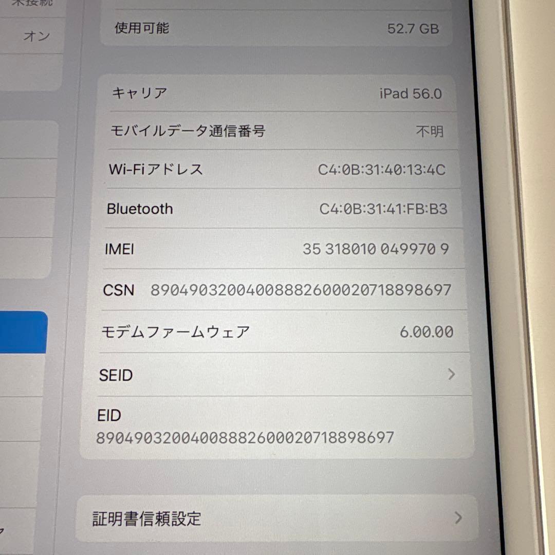 iPad mini5 セルラー 64GB SIMフリー　(76)
