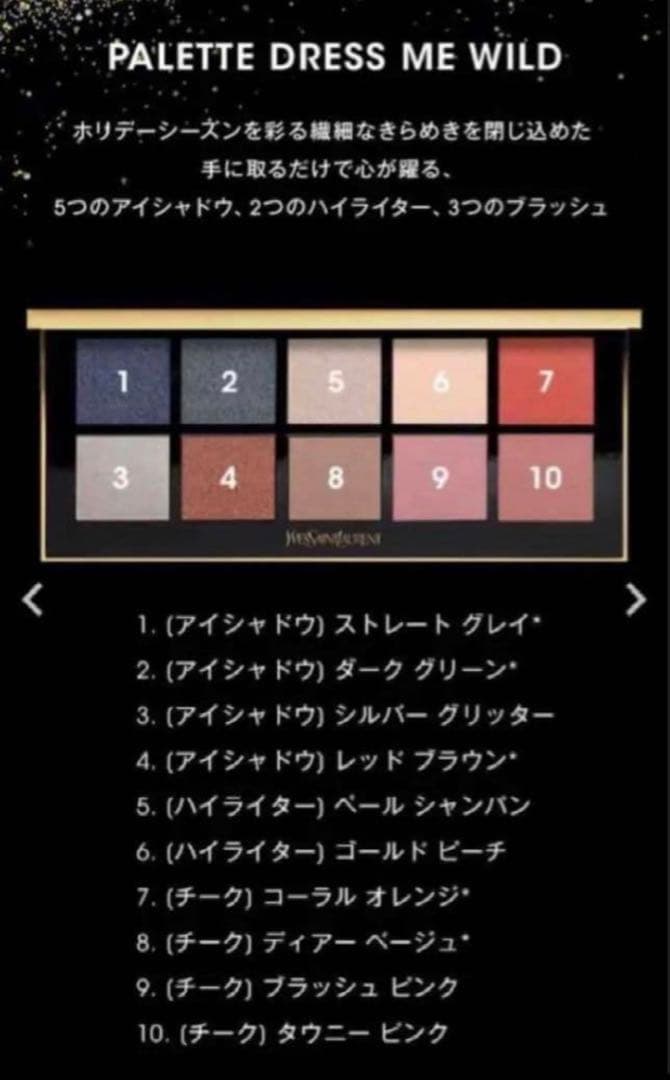 YSL クリスマス限定パレット　ドレスミーワイルド 10色