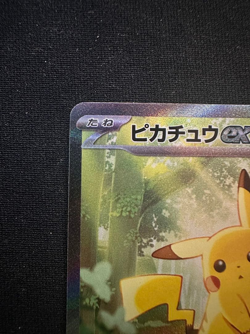 ポケカ まとめ売り ピカチュウex sar仕様シロナのガブリアスex sarなど