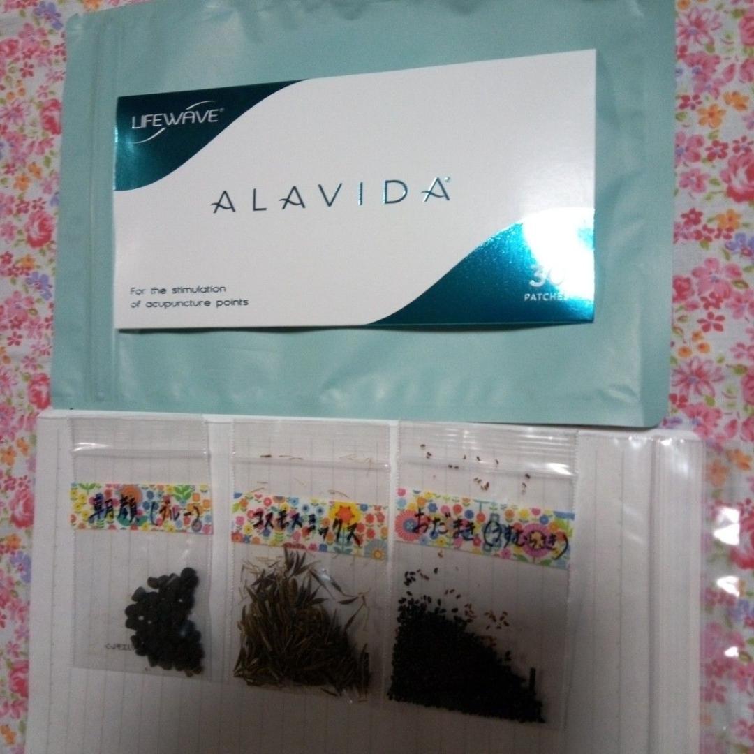 ライフウェーブ　アラビダパッチ+花種3種