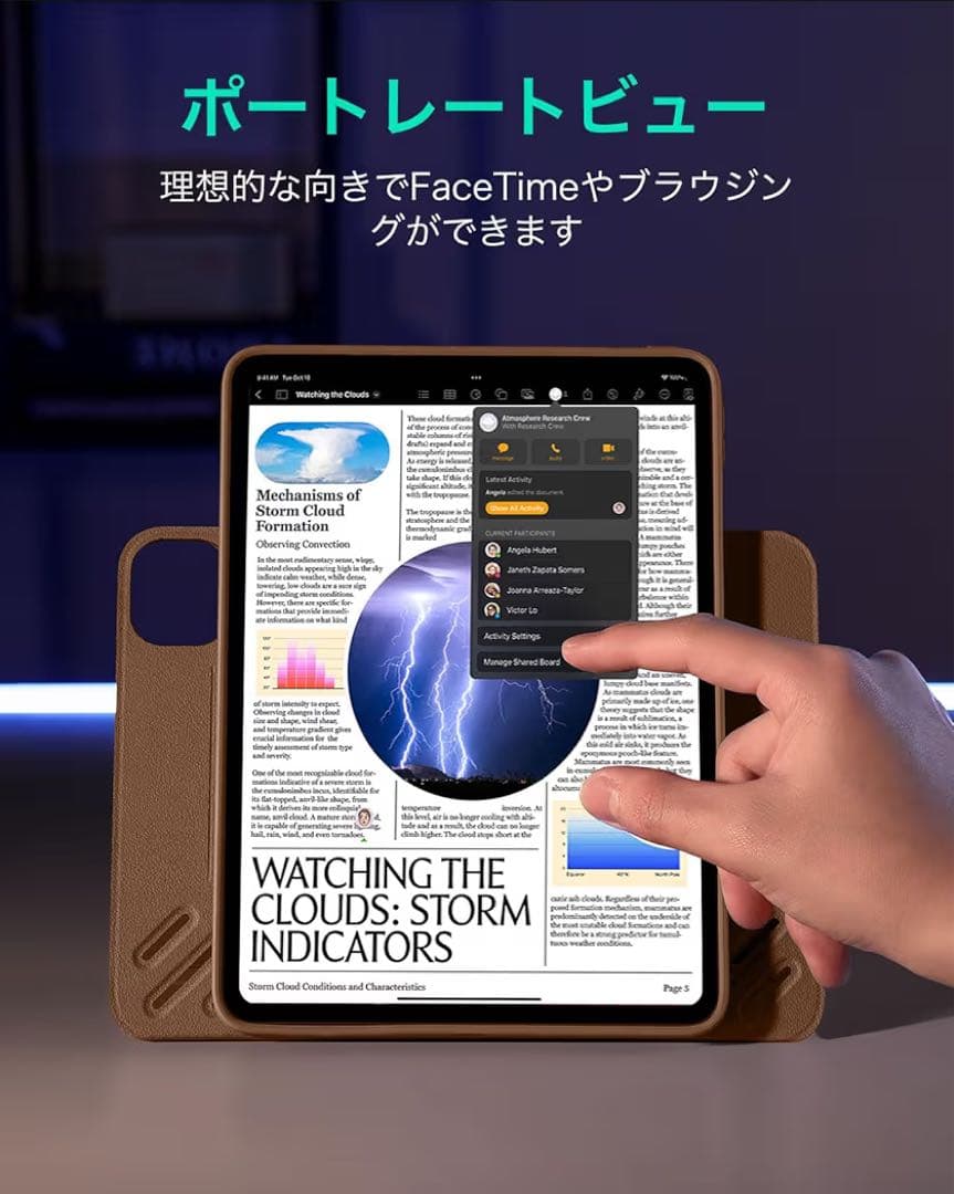 iPad Pro 11インチ ケース（M5/M4、2025/2024） ブラウン