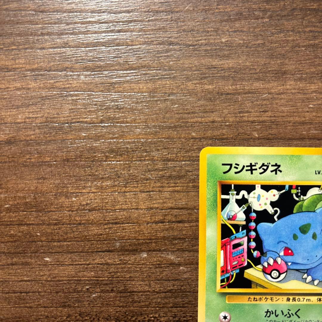 【旧裏】ポケモンカード 美品 フシギダネ イントロパック