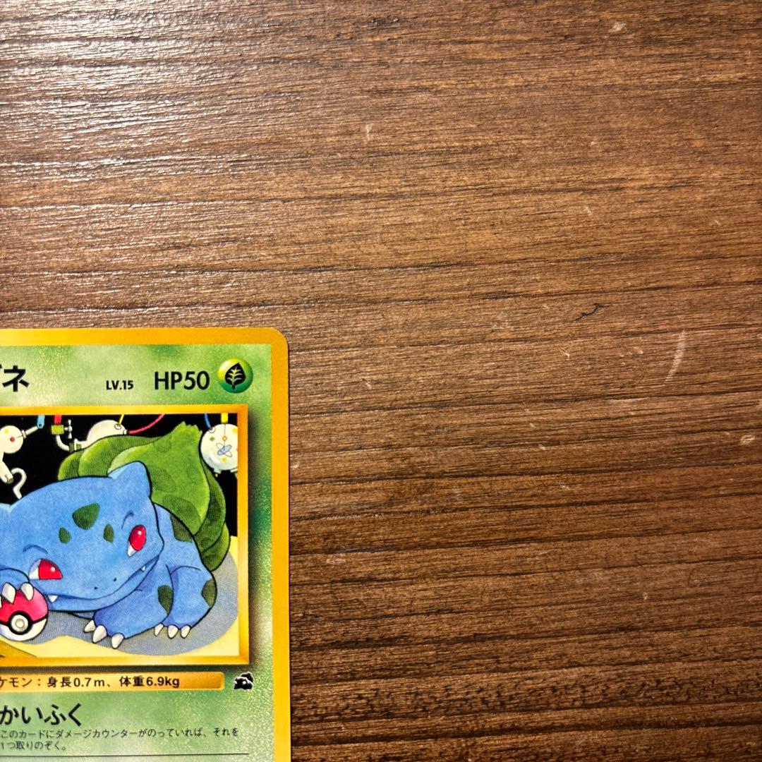 【旧裏】ポケモンカード 美品 フシギダネ イントロパック