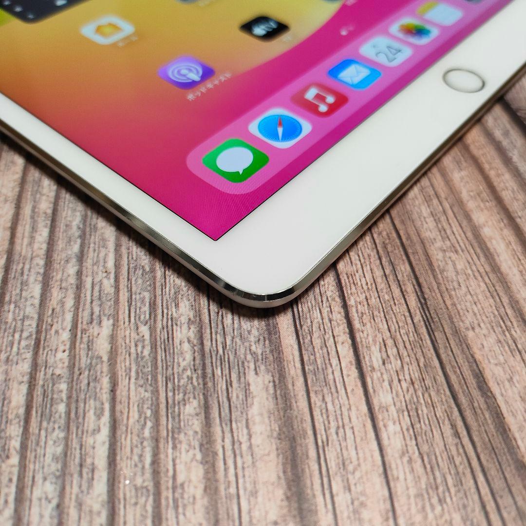 iPad Pro 10.5インチ 256GB シルバー 美品 バッテリー90%