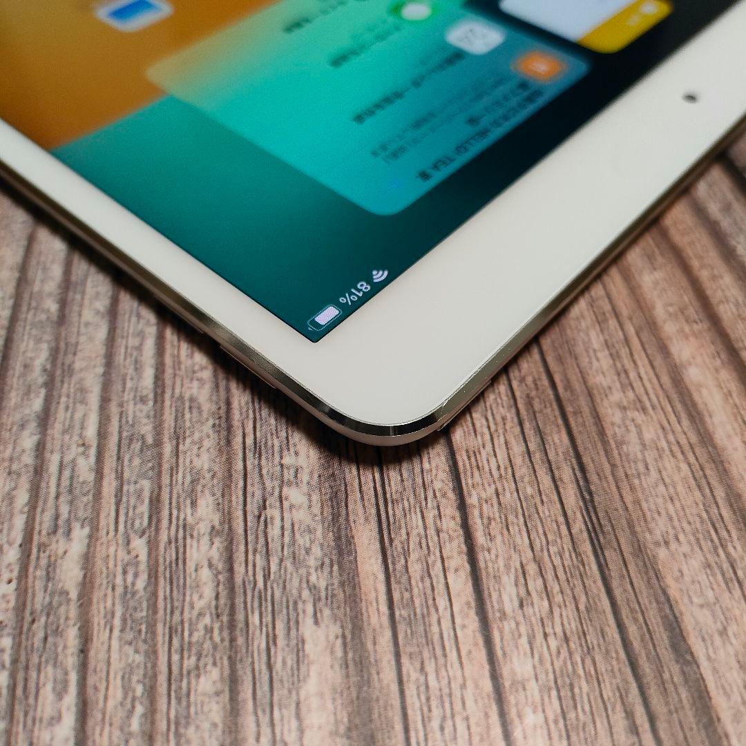 iPad Pro 10.5インチ 256GB シルバー 美品 バッテリー90%
