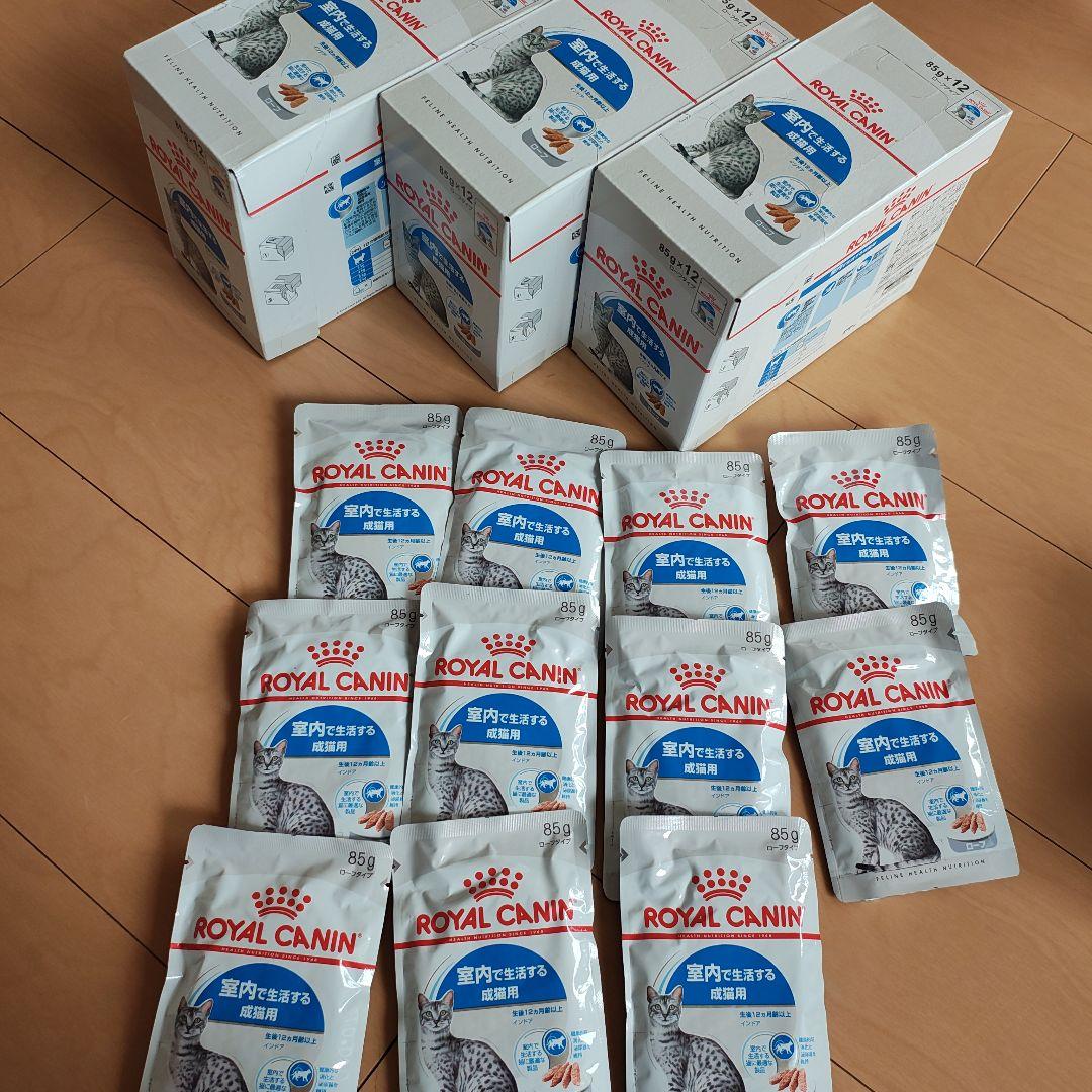  CANIN 室内で生活する猫用 85g×46パック