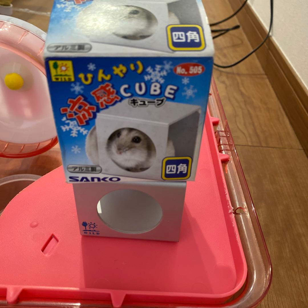 ルーミィ　小動物用ケージ クリア・ピンク 木製ハウス付き　ピンク　適温プラスつき