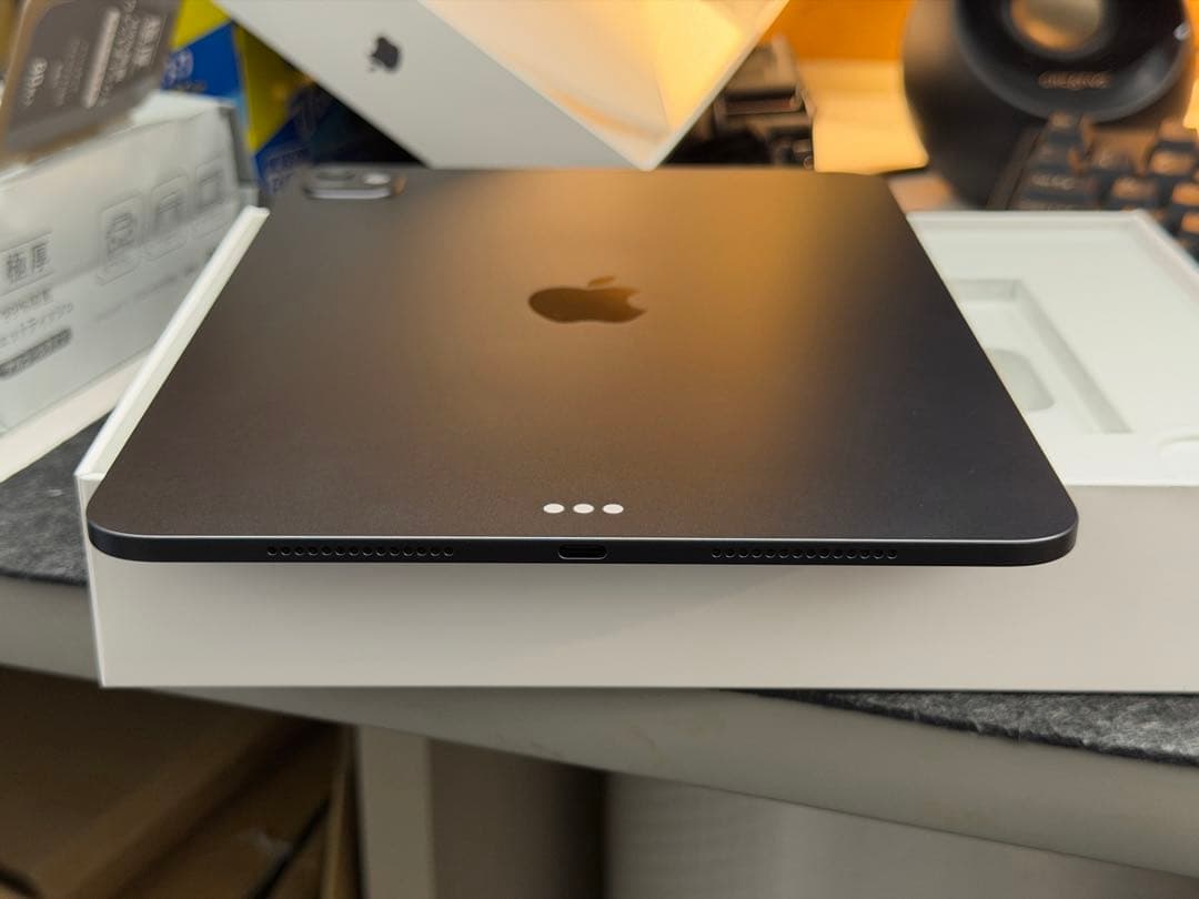 極美品　11インチiPad Pro Wi-Fiモデル 256GBスペースブラック